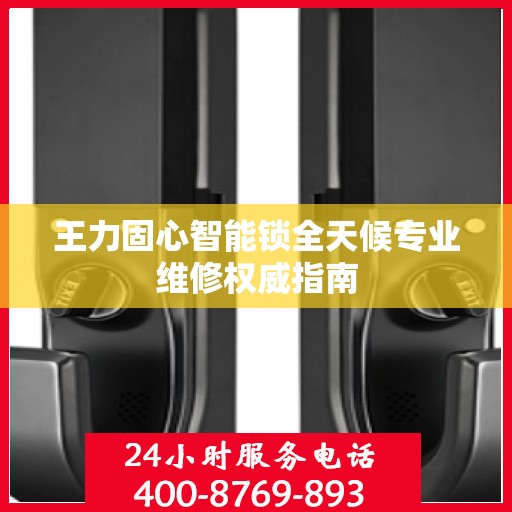 王力固心智能锁全天候专业维修权威指南
