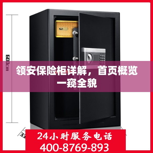 领安保险柜详解，首页概览一窥全貌