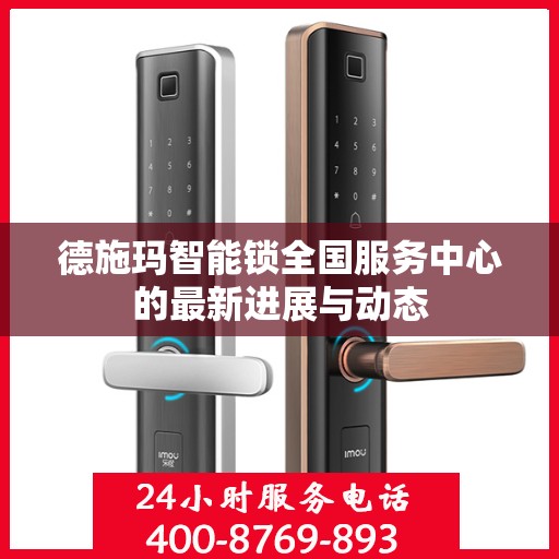 德施玛智能锁全国服务中心的最新进展与动态