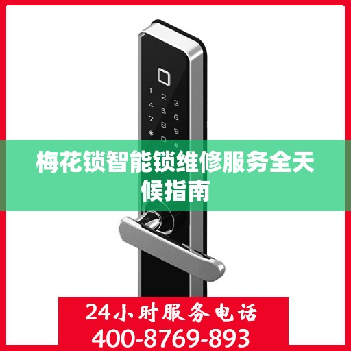 梅花锁智能锁维修服务全天候指南