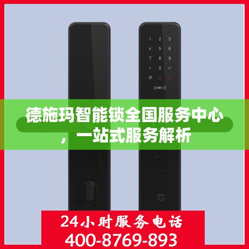 德施玛智能锁全国服务中心，一站式服务解析