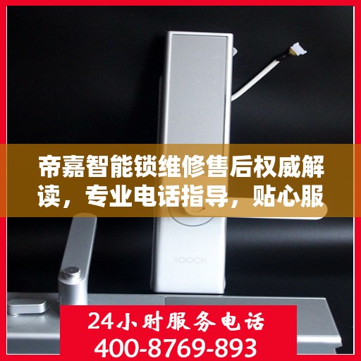 帝嘉智能锁维修售后权威解读，专业电话指导，贴心服务保障您的安全锁事无忧