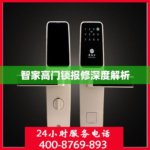 智家高门锁报修深度解析