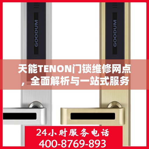 天能TENON门锁维修网点，全面解析与一站式服务