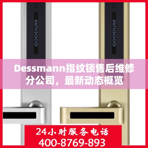 Dessmann指纹锁售后维修分公司，最新动态概览