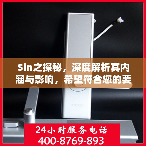 Sin之探秘，深度解析其内涵与影响，希望符合您的要求，您也可酌情调整。