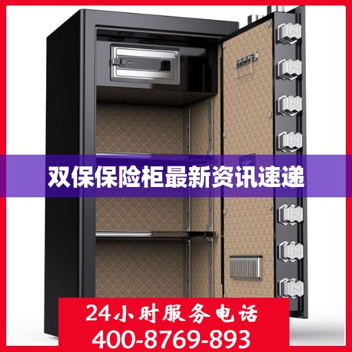 双保保险柜最新资讯速递