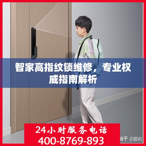 智家高指纹锁维修，专业权威指南解析