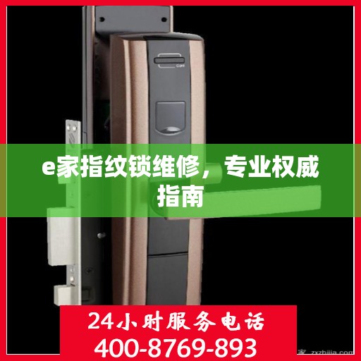 e家指纹锁维修，专业权威指南