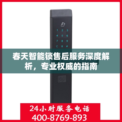 春天智能锁售后服务深度解析，专业权威的指南