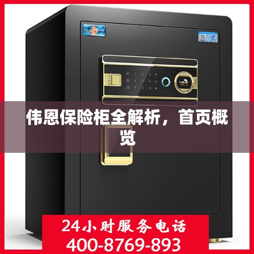 伟恩保险柜全解析，首页概览