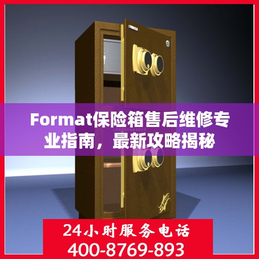 Format保险箱售后维修专业指南，最新攻略揭秘