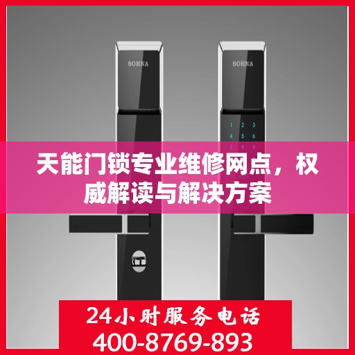 天能门锁专业维修网点，权威解读与解决方案
