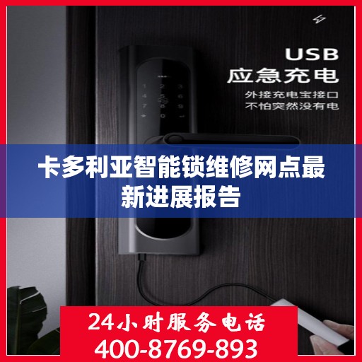 卡多利亚智能锁维修网点最新进展报告