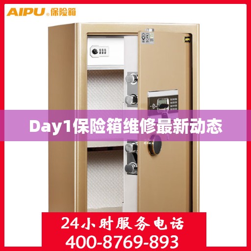 Day1保险箱维修最新动态