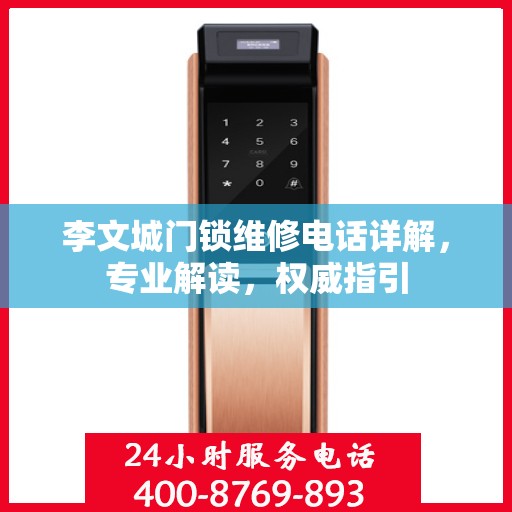 李文城门锁维修电话详解，专业解读，权威指引