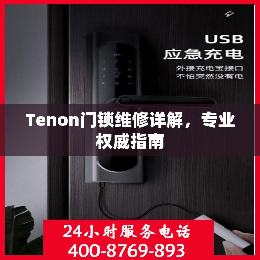 Tenon门锁维修详解，专业权威指南