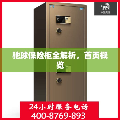 驰球保险柜全解析，首页概览