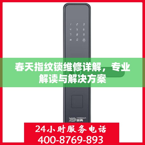 春天指纹锁维修详解，专业解读与解决方案