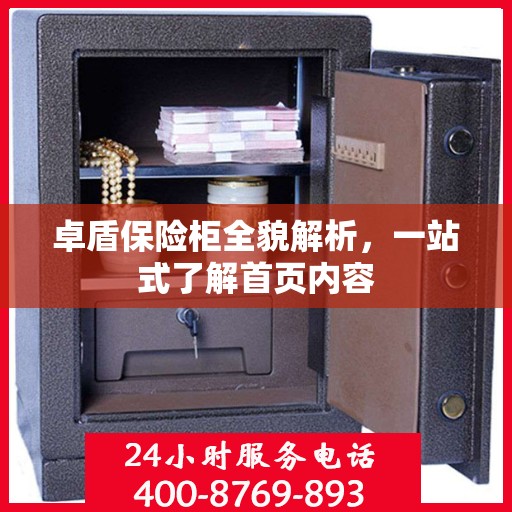 卓盾保险柜全貌解析，一站式了解首页内容