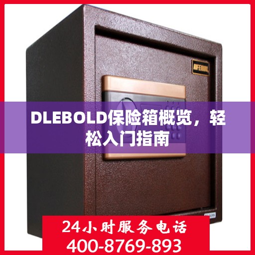 DLEBOLD保险箱概览，轻松入门指南