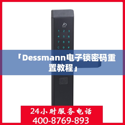 「Dessmann电子锁密码重置教程」
