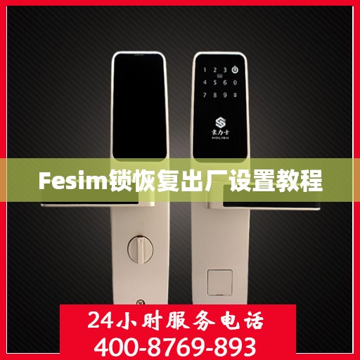 Fesim锁恢复出厂设置教程
