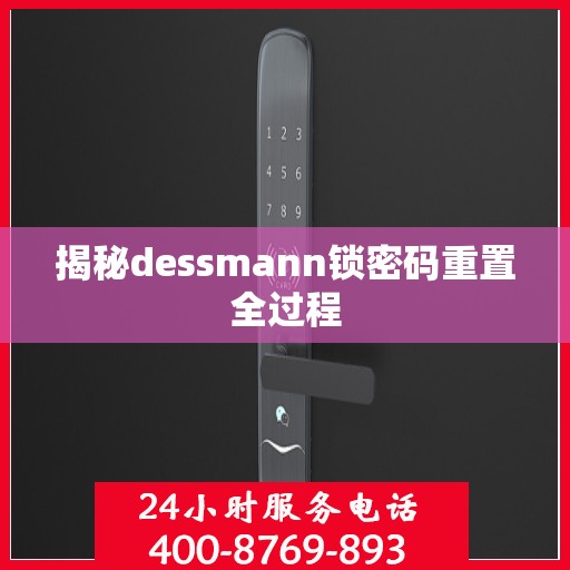 揭秘dessmann锁密码重置全过程