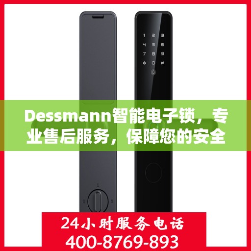 Dessmann智能电子锁，专业售后服务，保障您的安全之选