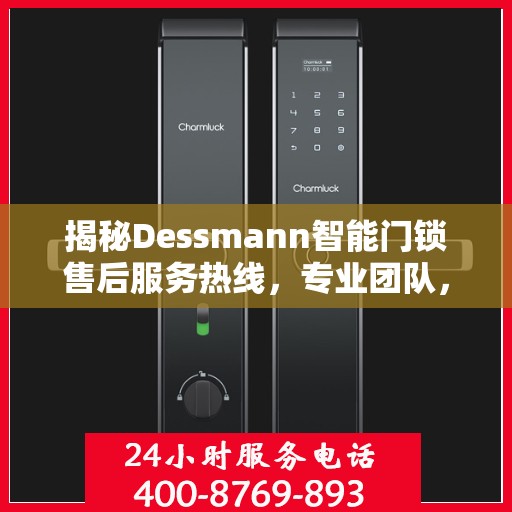 揭秘Dessmann智能门锁售后服务热线，专业团队，贴心保障您的安全锁事无忧