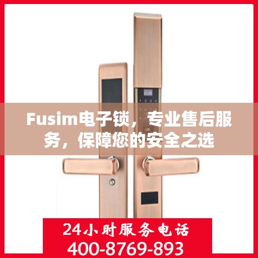 Fusim电子锁，专业售后服务，保障您的安全之选