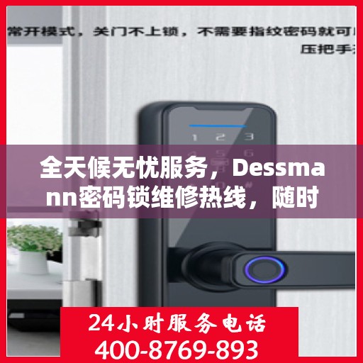 全天候无忧服务，Dessmann密码锁维修热线，随时响应您的需求