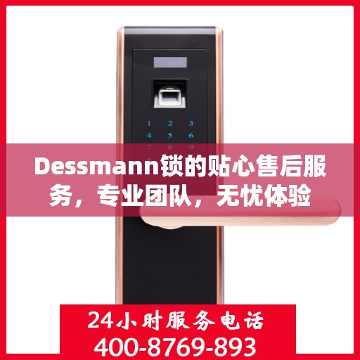 Dessmann锁的贴心售后服务，专业团队，无忧体验