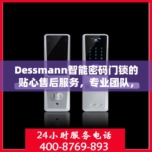 Dessmann智能密码门锁的贴心售后服务，专业团队，无忧体验
