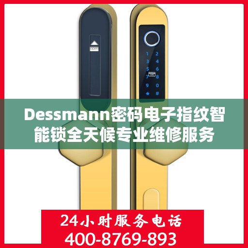 Dessmann密码电子指纹智能锁全天候专业维修服务