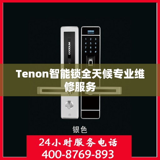 Tenon智能锁全天候专业维修服务
