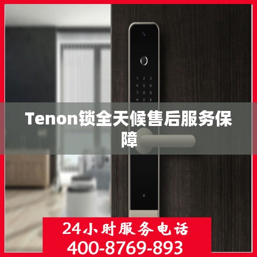 Tenon锁全天候售后服务保障