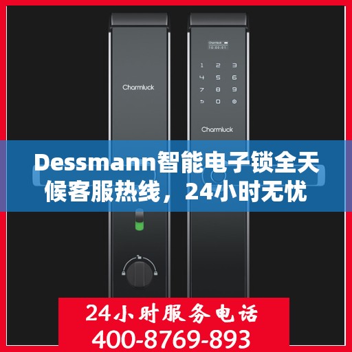 Dessmann智能电子锁全天候客服热线，24小时无忧服务