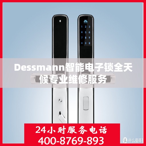 Dessmann智能电子锁全天候专业维修服务