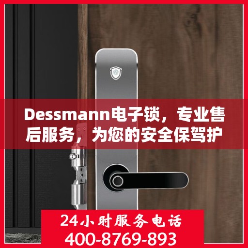 Dessmann电子锁，专业售后服务，为您的安全保驾护航