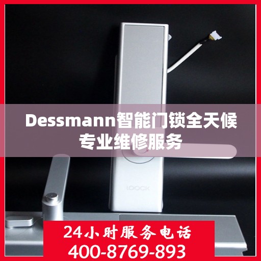 Dessmann智能门锁全天候专业维修服务