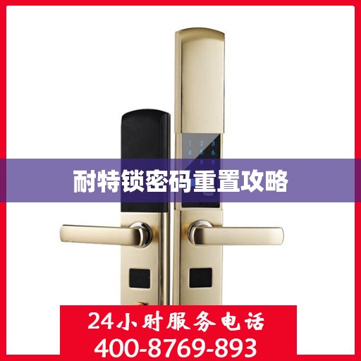 耐特锁密码重置攻略