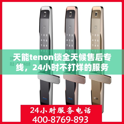 天能tenon锁全天候售后专线，24小时不打烊的服务承诺