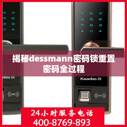 揭秘dessmann密码锁重置密码全过程