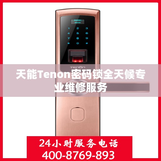 天能Tenon密码锁全天候专业维修服务
