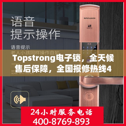 Topstrong电子锁，全天候售后保障，全国报修热线400，专业售后无忧体验