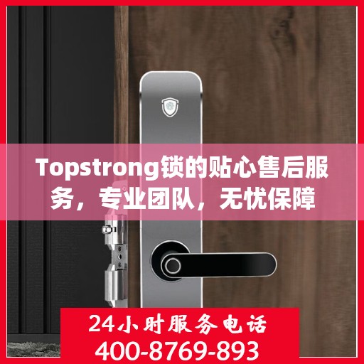 Topstrong锁的贴心售后服务，专业团队，无忧保障