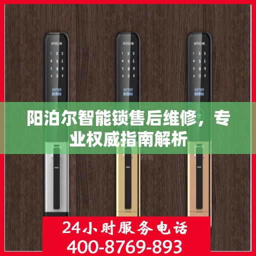 阳泊尔智能锁售后维修，专业权威指南解析