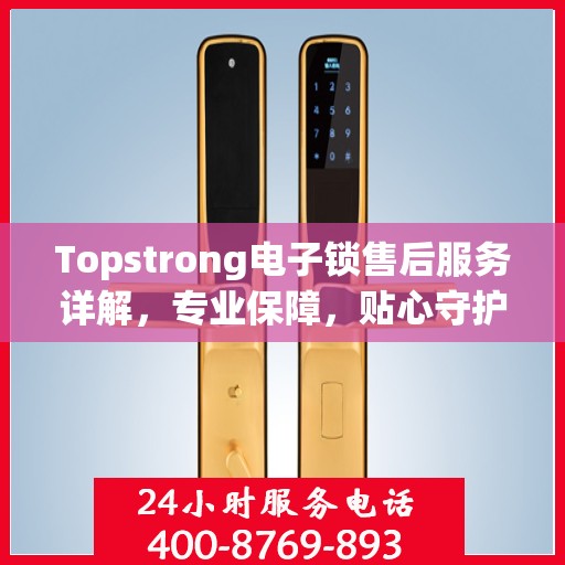 Topstrong电子锁售后服务详解，专业保障，贴心守护您的安全之选