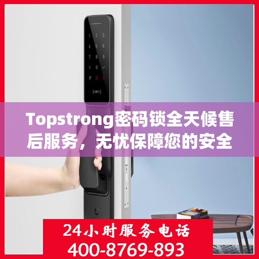 Topstrong密码锁全天候售后服务，无忧保障您的安全